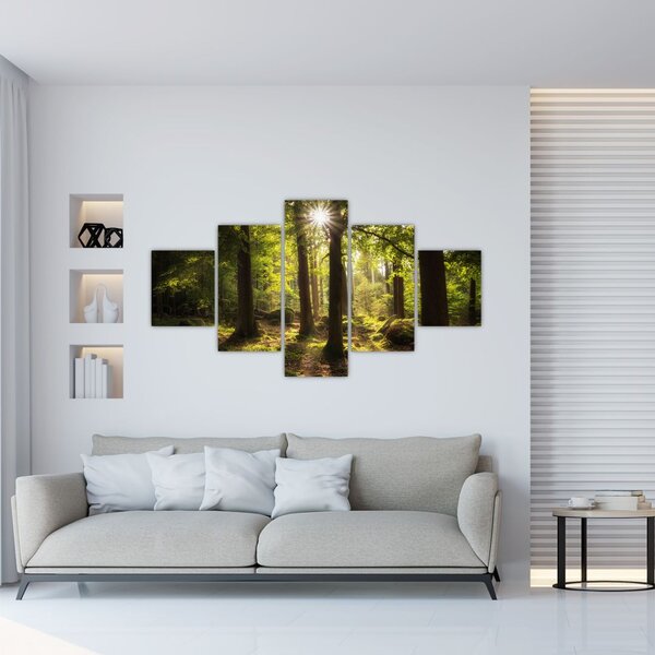 Obraz sennego lasu (125x70 cm)