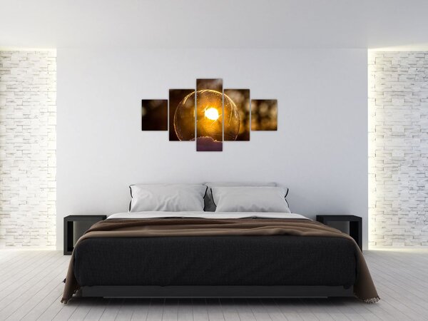 Obraz - Przezroczysta bańka (125x70 cm)