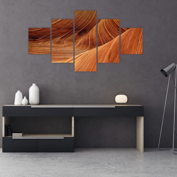 Obraz - Czerwony piasek (125x70 cm)