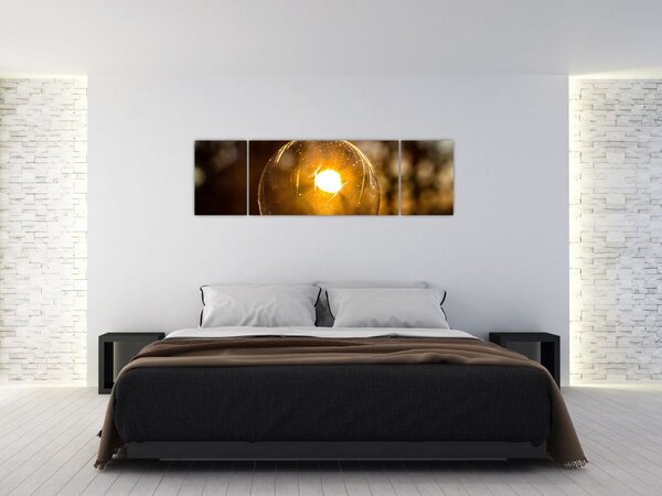 Obraz - Przezroczysta bańka (170x50 cm)