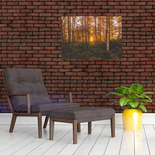 Obraz jesiennego lasu (70x50 cm)