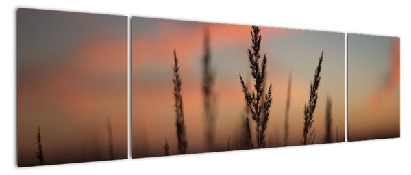 Obraz - Sylwetka rośliny (170x50 cm)