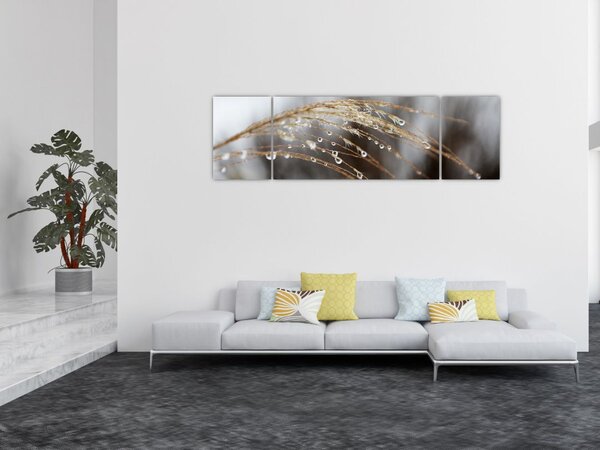 Obraz kropli na roślinie (170x50 cm)