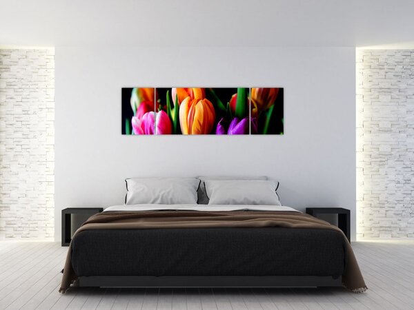 Obraz tulipanów na czarnym tle (170x50 cm)