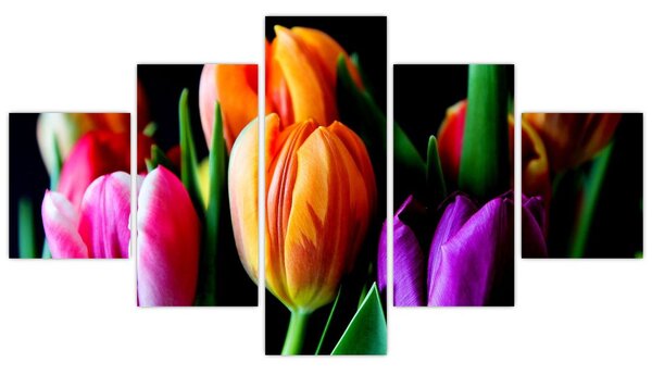 Obraz tulipanów na czarnym tle (125x70 cm)