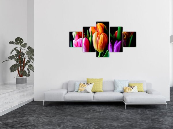 Obraz tulipanów na czarnym tle (125x70 cm)