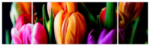 Obraz tulipanów na czarnym tle (170x50 cm)