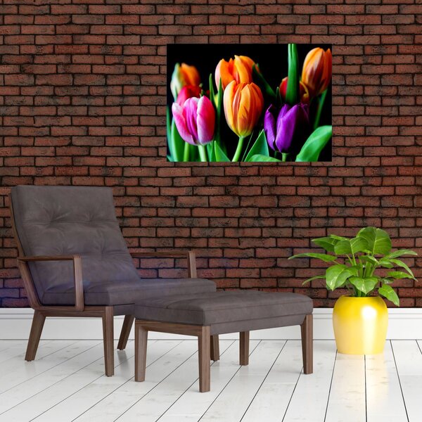 Obraz tulipanów na czarnym tle (70x50 cm)