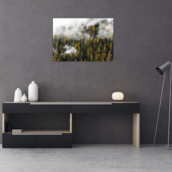 Obraz lasu w chmurach (70x50 cm)