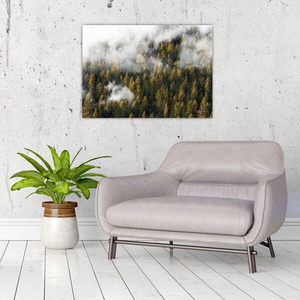 Obraz lasu w chmurach (70x50 cm)