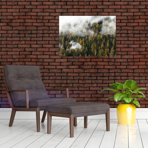 Obraz lasu w chmurach (70x50 cm)