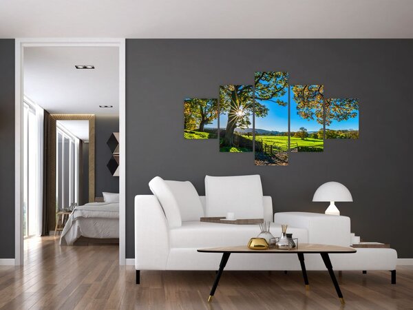 Obraz - widok pola (125x70 cm)