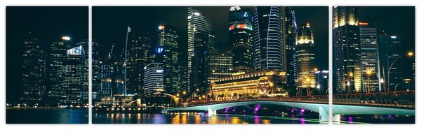Obraz Singapuru nocą (170x50 cm)
