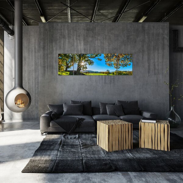 Obraz - widok pola (170x50 cm)