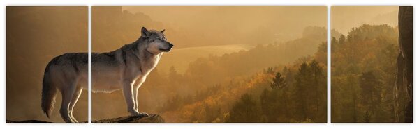 Obraz wilka na skale (170x50 cm)
