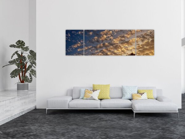 Obraz - palmy pośród chmur (170x50 cm)