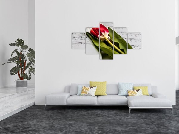 Obraz czerwonego tulipana (125x70 cm)
