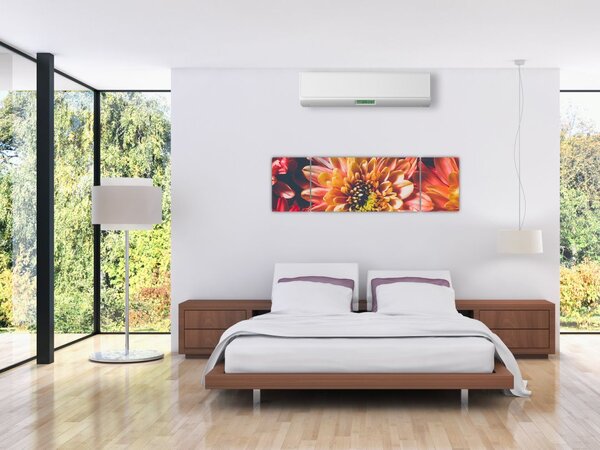 Obraz - Chryzantemy (170x50 cm)