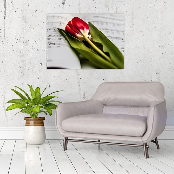 Obraz czerwonego tulipana (70x50 cm)