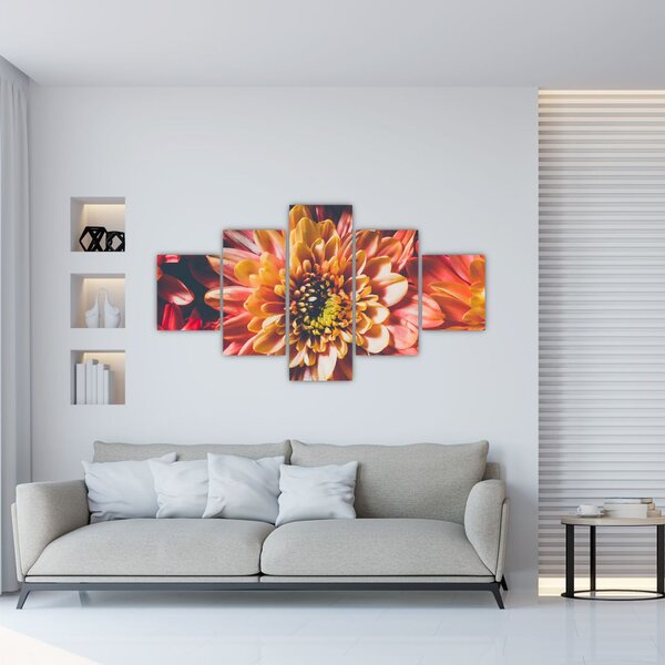 Obraz - Chryzantemy (125x70 cm)