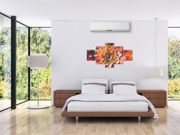 Obraz - Chryzantemy (125x70 cm)