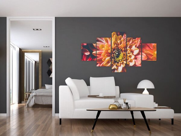 Obraz - Chryzantemy (125x70 cm)