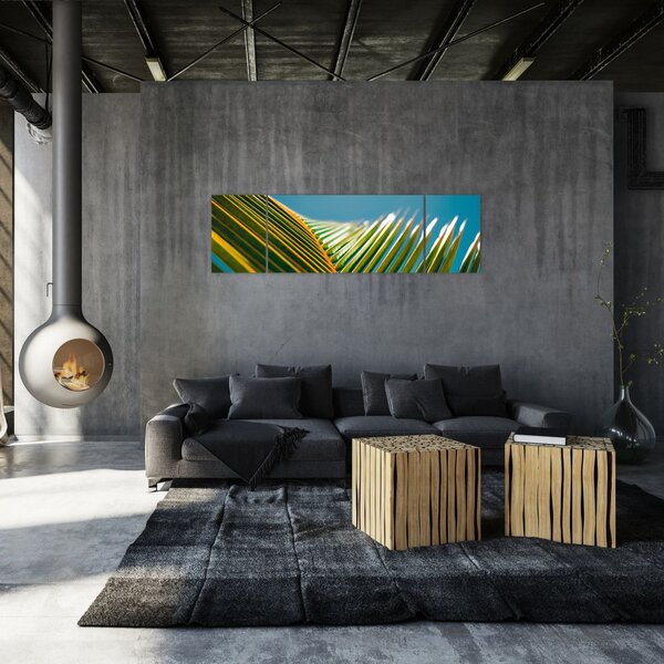 Obraz - Detal liścia palmowego (170x50 cm)