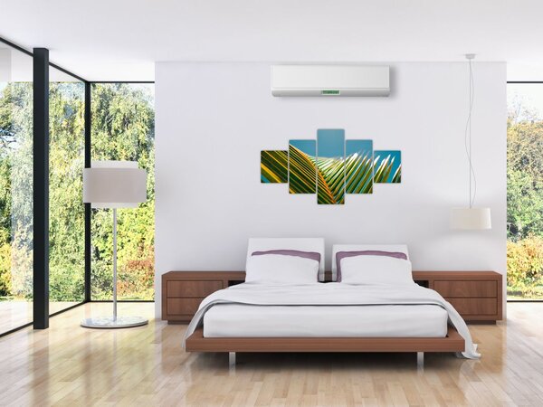 Obraz - Detal liścia palmowego (125x70 cm)