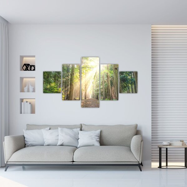 Obraz ścieżki w lesie (125x70 cm)