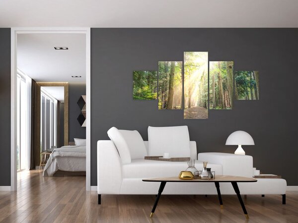 Obraz ścieżki w lesie (125x70 cm)