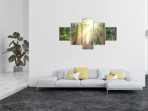 Obraz ścieżki w lesie (125x70 cm)