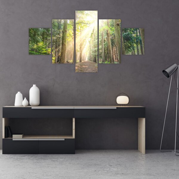 Obraz ścieżki w lesie (125x70 cm)