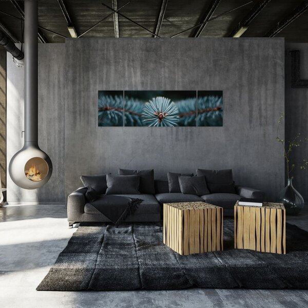 Obraz gałązki drzewa iglastego (170x50 cm)