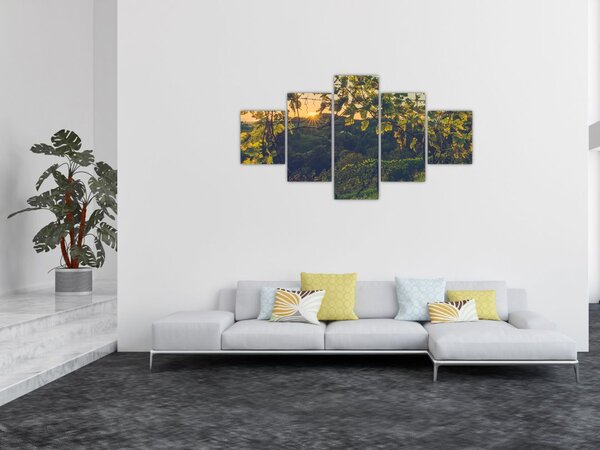 Obraz - Winnica (125x70 cm)