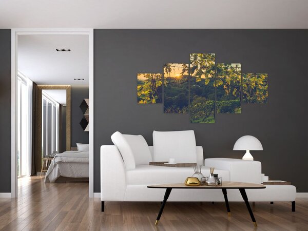 Obraz - Winnica (125x70 cm)