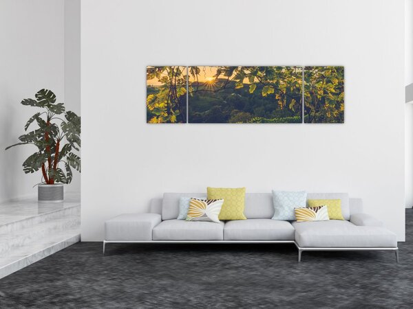 Obraz - Winnica (170x50 cm)