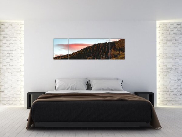 Obraz rudzików nad wzgórzem (170x50 cm)