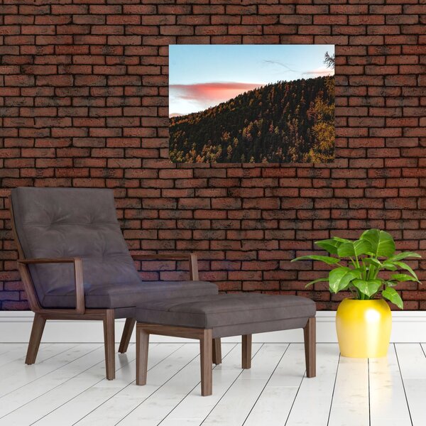 Obraz rudzików nad wzgórzem (70x50 cm)
