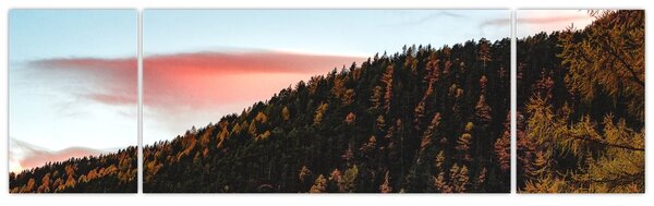 Obraz rudzików nad wzgórzem (170x50 cm)