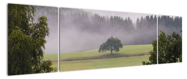 Obraz łąki z drzewem (170x50 cm)