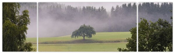 Obraz łąki z drzewem (170x50 cm)