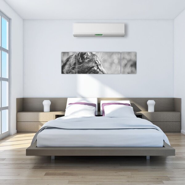 Obraz - Kot (170x50 cm)