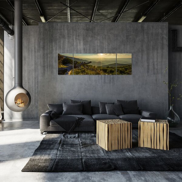 Obraz - Widok na otoczenie (170x50 cm)
