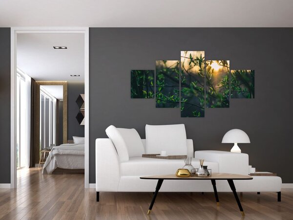 Obraz słońca przeświecającego przez gałęzie drzew (125x70 cm)