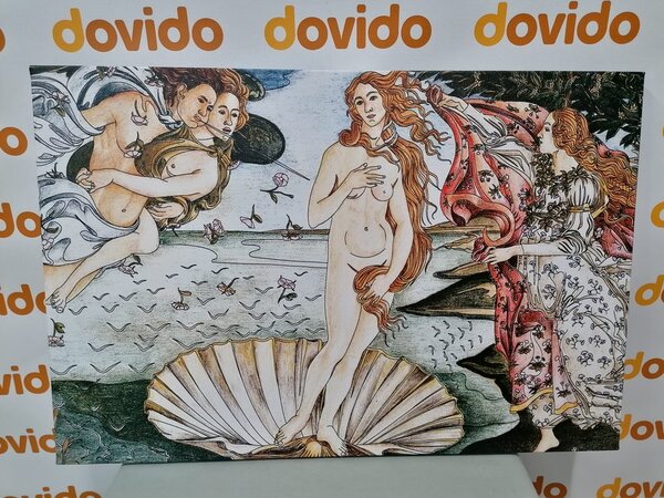 Obraz reprodukcja Narodziny Wenus - Sandro Botticelli