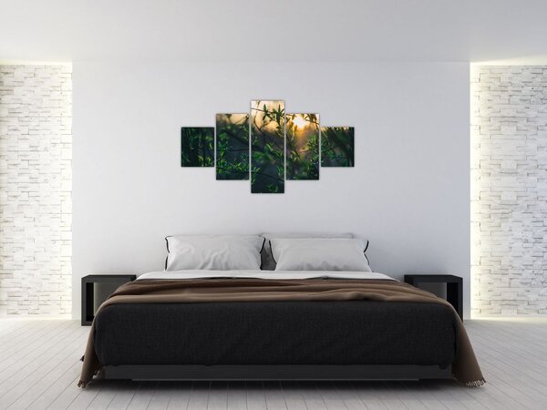Obraz słońca przeświecającego przez gałęzie drzew (125x70 cm)