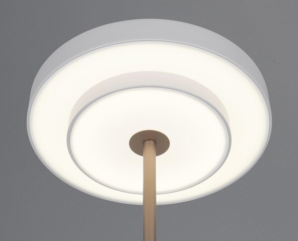 Lampa stojąca LED ze ściemniaczem w kolorze kości słoniowej (wysokość 138 cm) Keaton – Trio