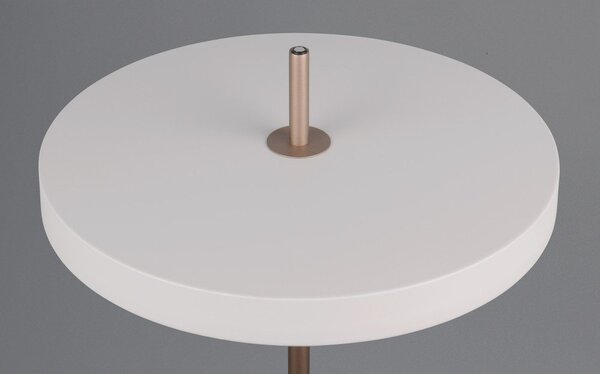 Lampa stojąca LED ze ściemniaczem w kolorze kości słoniowej (wysokość 138 cm) Keaton – Trio