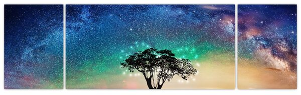 Obraz - Odpoczynek pod gwiazdami (170x50 cm)