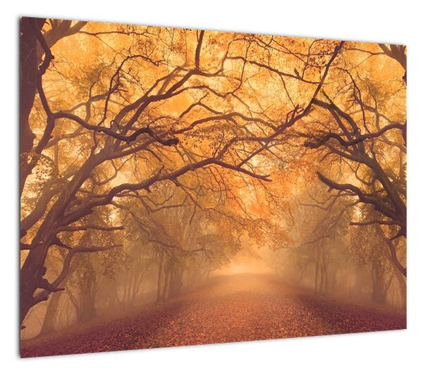 Obraz drogi w jesiennym krajobrazie (70x50 cm)